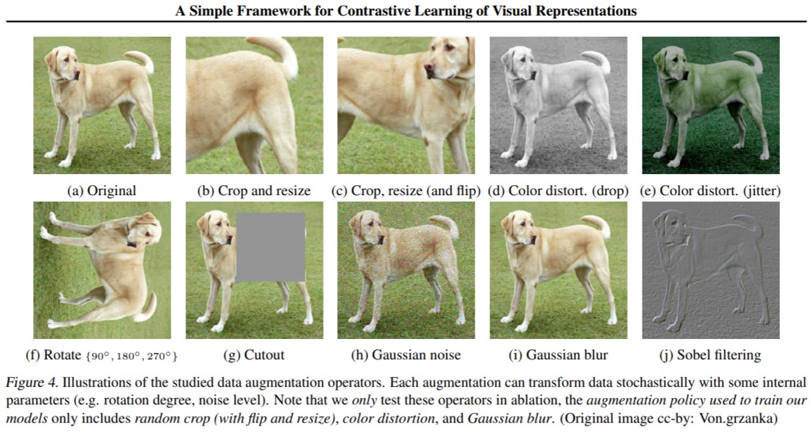 SimCLR: self-supervised contrastive learning samples