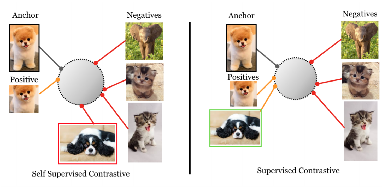 Supervised Contrastive Learning Data Samples