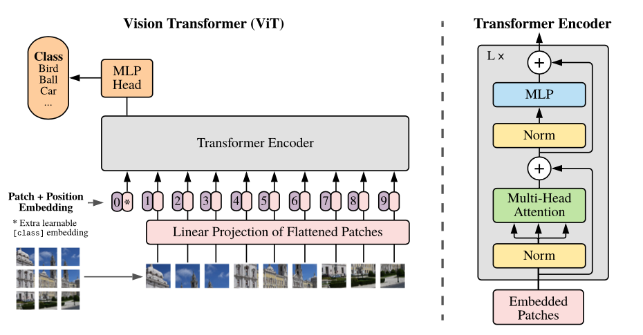 An Image Is Worth 16X16 Words: Transformers For Image Recognition At Scale Samples